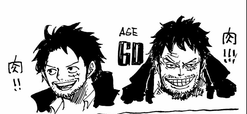 Oda Reveals How Ace Luffy Would Look Like In The Future Anime Scoop